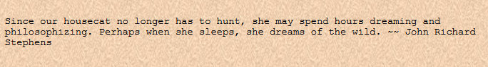 &mdash;from The Enchanted Cat