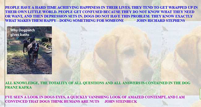 In the book Dog Quotations.