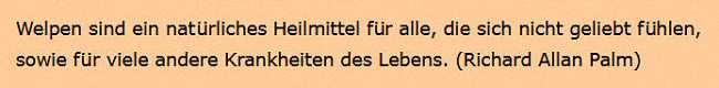 Puppies are nature's remedy for feeling unloved...plus numerous other ailments of life, (In German.)