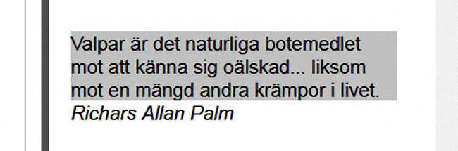 Puppies are nature's remedy for feeling unloved...plus numerous other ailments of life,(In Swedish.)